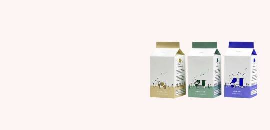 Custom Milk Carton Boxes